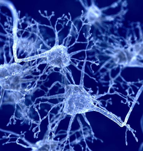 Nervenzellen auf dunklem Hintergrund